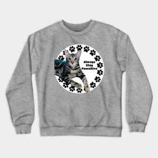 Always Stay Positive Grey Cat Crewneck Sweatshirt